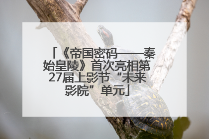 《帝国密码——秦始皇陵》首次亮相第27届上影节“未来影院”单元