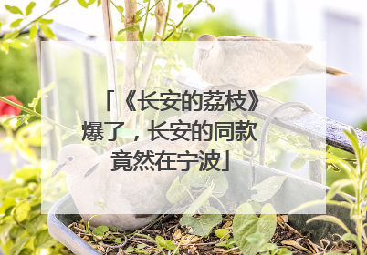 《长安的荔枝》爆了，长安的同款竟然在宁波