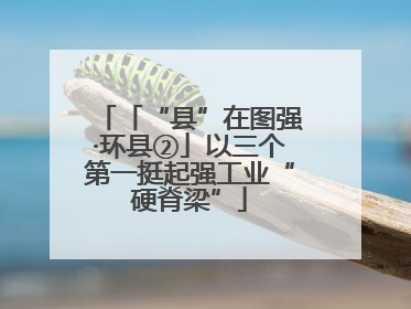 「“县”在图强·环县②」以三个第一挺起强工业“硬脊梁”