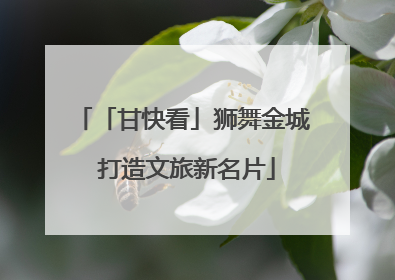 「甘快看」狮舞金城 打造文旅新名片