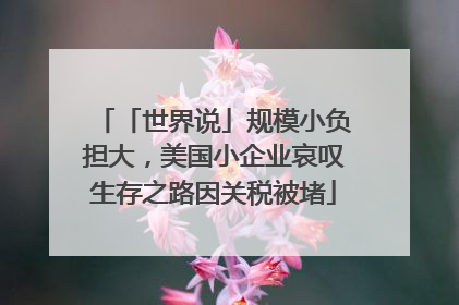「世界说」规模小负担大，美国小企业哀叹生存之路因关税被堵