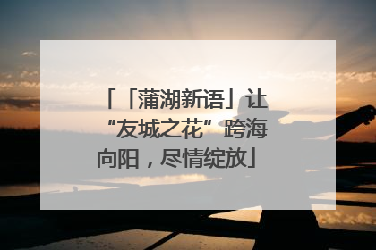 「蒲湖新语」让“友城之花”跨海向阳，尽情绽放