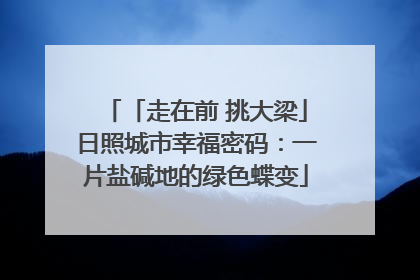 「走在前 挑大梁」日照城市幸福密码：一片盐碱地的绿色蝶变