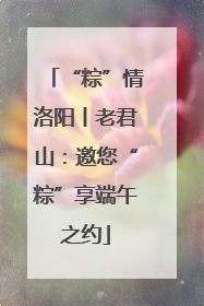 “粽”情洛阳丨老君山：邀您“粽”享端午之约