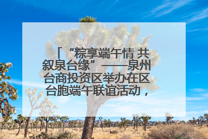 “粽享端午情 共叙泉台缘”——泉州台商投资区举办在区台胞端午联谊活动，共话同源深情