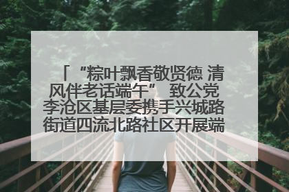 “粽叶飘香敬贤德 清风伴老话端午” 致公党李沧区基层委携手兴城路街道四流北路社区开展端午节主题活动