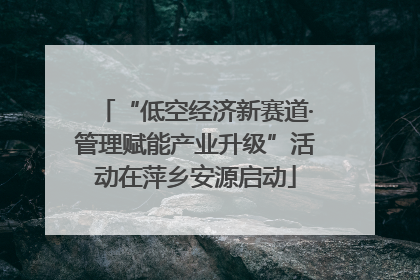 “低空经济新赛道·管理赋能产业升级”活动在萍乡安源启动