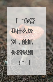 “你管我什么级别，能抓你的级别！”