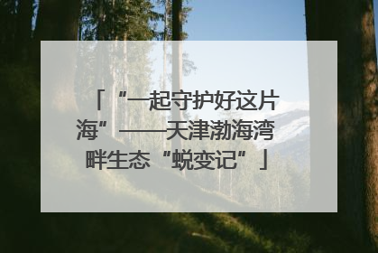 “一起守护好这片海”——天津渤海湾畔生态“蜕变记”