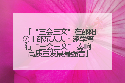 “三会三文”在邵阳⑦丨邵东人大：深学笃行“三会三文” 奏响高质量发展最强音