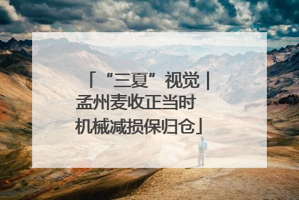 “三夏”视觉｜孟州麦收正当时 机械减损保归仓