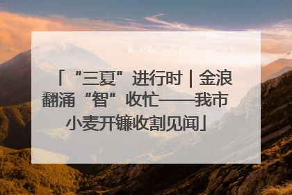 “三夏”进行时｜金浪翻涌“智”收忙——我市小麦开镰收割见闻