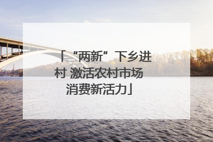 “两新”下乡进村 激活农村市场消费新活力