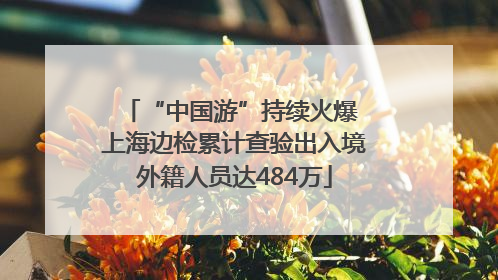 “中国游”持续火爆 上海边检累计查验出入境外籍人员达484万