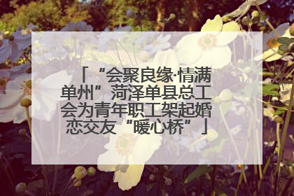 “会聚良缘·情满单州”菏泽单县总工会为青年职工架起婚恋交友“暖心桥”