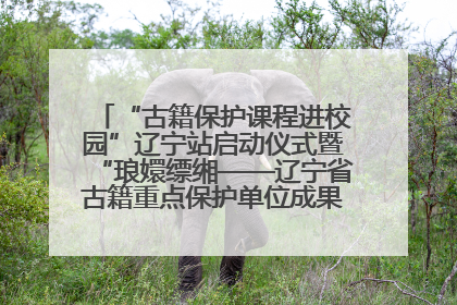 “古籍保护课程进校园”辽宁站启动仪式暨“琅嬛缥缃——辽宁省古籍重点保护单位成果展”在辽宁大学举行