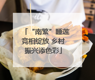 “南繁”睡莲竞相绽放 乡村振兴添色彩