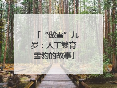 “傲雪”九岁：人工繁育雪豹的故事