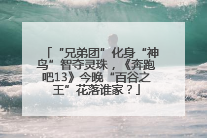 “兄弟团”化身“神鸟”智夺灵珠，《奔跑吧13》今晚“百谷之王”花落谁家？