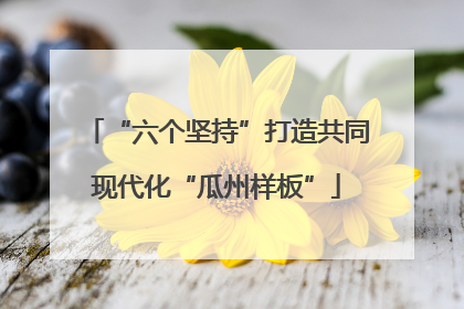 “六个坚持”打造共同现代化“瓜州样板”