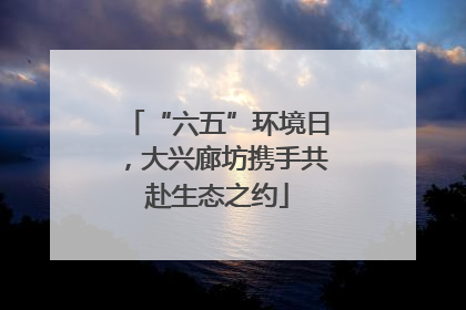 “六五”环境日，大兴廊坊携手共赴生态之约