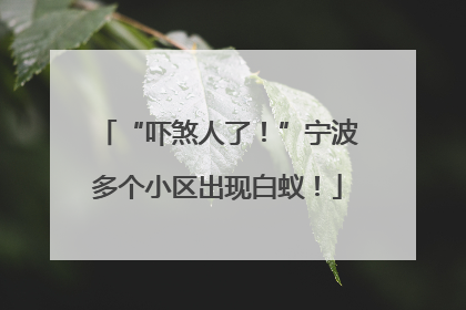 “吓煞人了！”宁波多个小区出现白蚁！