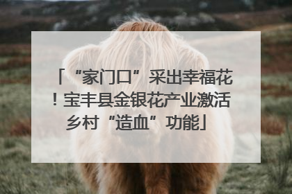 “家门口”采出幸福花！宝丰县金银花产业激活乡村“造血”功能