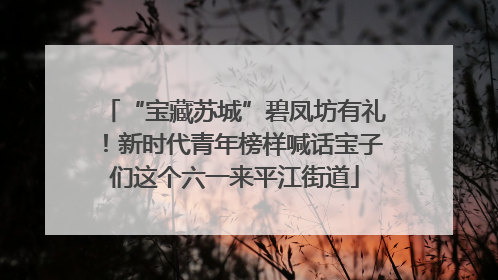“宝藏苏城”碧凤坊有礼！新时代青年榜样喊话宝子们这个六一来平江街道