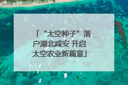 “太空种子”落户湖北咸安 开启太空农业新篇章