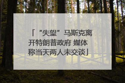 “失望”马斯克离开特朗普政府 媒体称当天两人未交谈