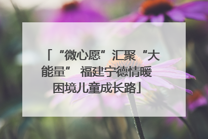 “微心愿”汇聚“大能量” 福建宁德情暖困境儿童成长路