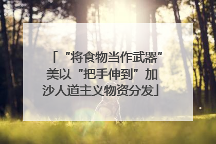 “将食物当作武器” 美以“把手伸到”加沙人道主义物资分发