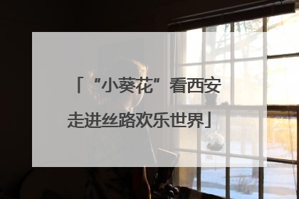 “小葵花”看西安走进丝路欢乐世界
