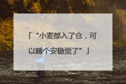 “小麦都入了仓，可以睡个安稳觉了”