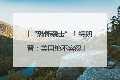 “恐怖袭击”！特朗普：美国绝不容忍