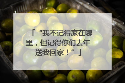 “我不记得家在哪里，但记得你们去年送我回家！”