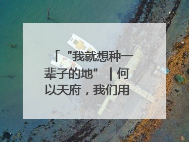 “我就想种一辈子的地”｜何以天府，我们用粮食作答②