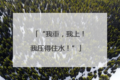 “我重，我上！我压得住水！”