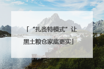 “扎赉特模式”让黑土粮仓家底更实