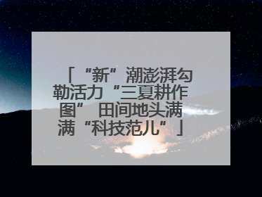 “新”潮澎湃勾勒活力“三夏耕作图” 田间地头满满“科技范儿”