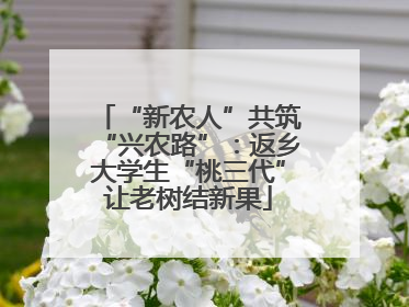 “新农人”共筑“兴农路”：返乡大学生“桃三代”让老树结新果