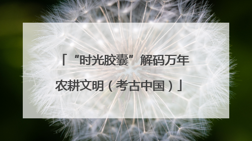 “时光胶囊”解码万年农耕文明（考古中国）