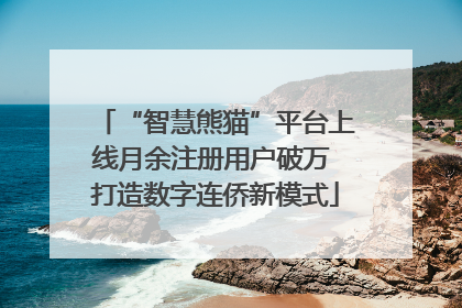 “智慧熊猫”平台上线月余注册用户破万 打造数字连侨新模式