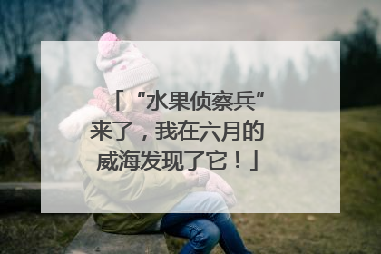 “水果侦察兵”来了，我在六月的威海发现了它！