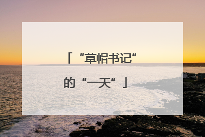 “草帽书记”的“一天”