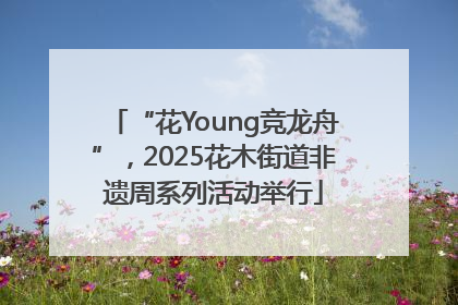 “花Young竞龙舟”，2025花木街道非遗周系列活动举行