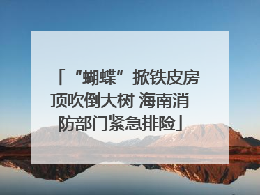 “蝴蝶”掀铁皮房顶吹倒大树 海南消防部门紧急排险