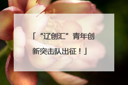 “辽创汇”青年创新突击队出征！