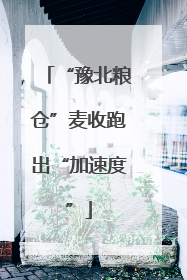 “豫北粮仓”麦收跑出“加速度”
