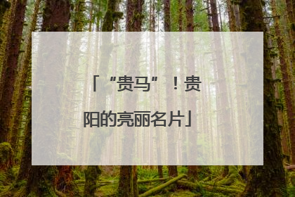 “贵马”！贵阳的亮丽名片